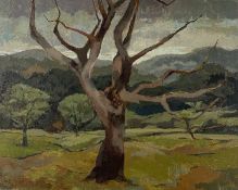 ‡ JOHN ELWYN oil on canvas - dead tree in woodland, unsignedDimensions: 40 x 51cmsProvenance:private