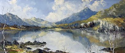 ‡ CHARLES WYATT WARREN oil on board - Snowdonia lake scene, entitled verso 'Llyn Gwynant',