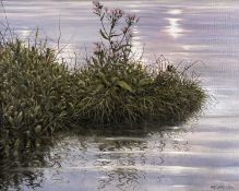 ‡ DAVID COWDRY oil on canvas - riverside vegetation and flowers with nesting ducks, signed and dated