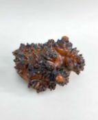 19TH CENTURY TREEN BURLWOOD SNUFF BOX, probably Scottish, the hinged top applied with Victoria Two