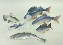 ROYAL COPENHAGEN FISH comprising Roach numbered 2675, Perch numbered 1138, Fantail numbered 3064,