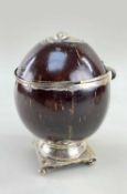 RARE 18TH CENTURY SILVER MOUNTED COCONUT TEA CADDY, foliate hinge strap and bracket, on lead