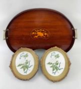 EARLY 20TH CENTURY MAHOGANY KIDNEY SHAPED TEA TRAY, gilt brass handles, central inlaid decoration