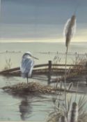 WARWICK HIGGS watercolour - a fine depiction of a standing Heron, provenance - from Sarah Samuel