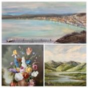 BARBARA PIERCE oil on board - Eryri (Snowdonia), signed, 49 x 75cms, JAN DAVIDSON oil on canvas -