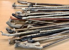 WALKING STICKS - a collection of 30 rustic carved thumb sticks and other walking sticks