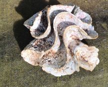 BEVERLY BELL HUGHES sculpture - 'Sand Pocket', 9 x 9 x 6 inches