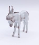 Münch-Khe, Willy: Esel