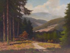 Richter, Walter Blick auf den Brocken