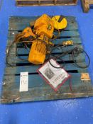 Harrington Electric IC-BN 1/4 Ton Hoist