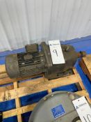 Nord 5 Horsepower Motor