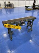 Hytrol Model TA 70” long x 12” wide Conveyor