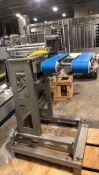 Dual Flat Belt Product Conveyor 22