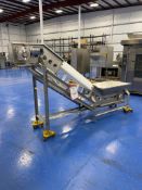 Cleated Incline Conveyor With Hopper 130