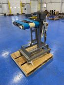 Dual Flat Belt Product Conveyor 22