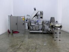 Fallas Automation V-400 Pick and Place Case Packer