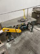 Hytrol Belt Conveyor