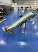Cleated Incline Conveyor With Hopper 100