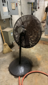 Stand Up Fan