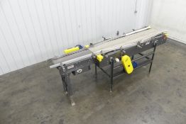 Sentry Equipment Plastic Mat-Top Conveyor 132