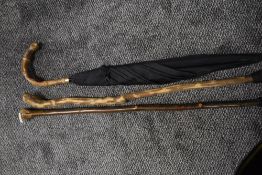 Two walking canes and a vintage bamboo handle umbrella