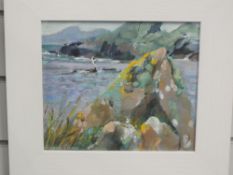 A mixed media painting, Fiona Clucas, Artic Terns Sandness, signed and dated 1991, 20 x 23cm, plus