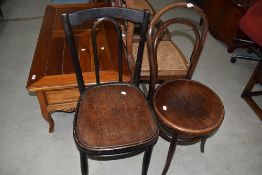 Two bentwood chairs, with traditional panel seats