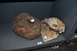 A large burr wood cut off and a piece of ancient ocean pottery
