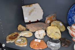A selection of rock mineral and fossil specimens