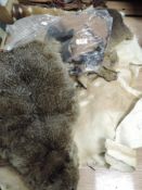 A selection of taxidermy animal skins and similar