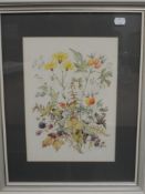 A watercolour, Patience Arnold, still life, signed, 31 x 22cm, plus frame and glazed