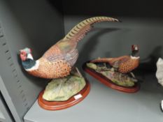 Two Border Fine Arts studies, Pheasant A0659 and Pheasant A1475.