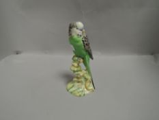 A Beswick study, Budgerigar, facing left, no flowers on base, green chest 1216B