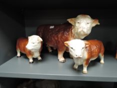 Three Melbaware studies, Hereford Bulls including oversized advertising example.