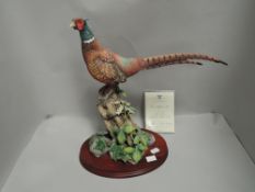 A Border Fine Arts study, Summer Splendour B1076, limited edition 83/350 with cert.(af)