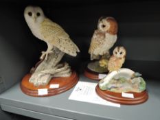 Three Border Fine Arts studies, On The Lookout B0276 with certificate, Tawny Owl & Fungi 484431
