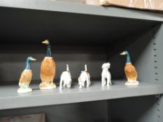 Six Beswick studies, three Mallard duck,756-2,756-2A, and three Foxhounds, 942,943 and 944.
