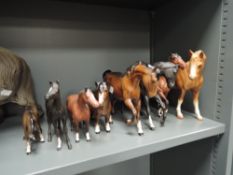 Eight horse and pony studies including Royal Doulton matt and gloss finishes.