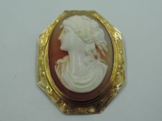 A conch shell cameo brooch depicting a maiden in profile in a yellow metal engraved octagonal