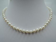A short string of cultured pearls having yellow metal screw barrel clasp, approx 15'
