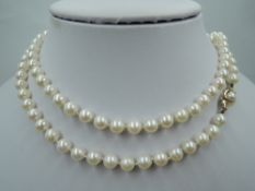A long knotted string of cultured pearls having 9ct gold clasp, approx 30'