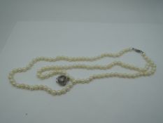 A string of cultured pearls of even form having a white metal clasp and a bracelet length broken