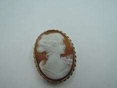 A conch shell cameo brooch depicting a maiden in profile having decorative 9ct gold mount