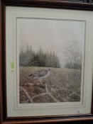 A signed and limited print signed J,S Waide, depicting Buzzard in moor land.74/500.