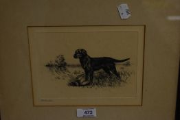A late 19th/early 20th century monochrome engraving, entitled in pencil 'labrador' gun dog with