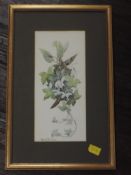 A watercolour, Ann B Gill, snowdrop and Ivy, signed, 25 x 11cm, plus frame and glazed