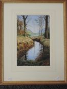 A watercolour, William Jones, Lakeland stream, signed, 27 x 17cm, plus frame and glazed