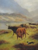 An oil painting, J T Chilcott, Highland cattle, signed and attributed verso, 76 x 51cm