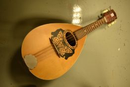 A vintage Eko mandolin