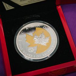 Collectable Coins 1